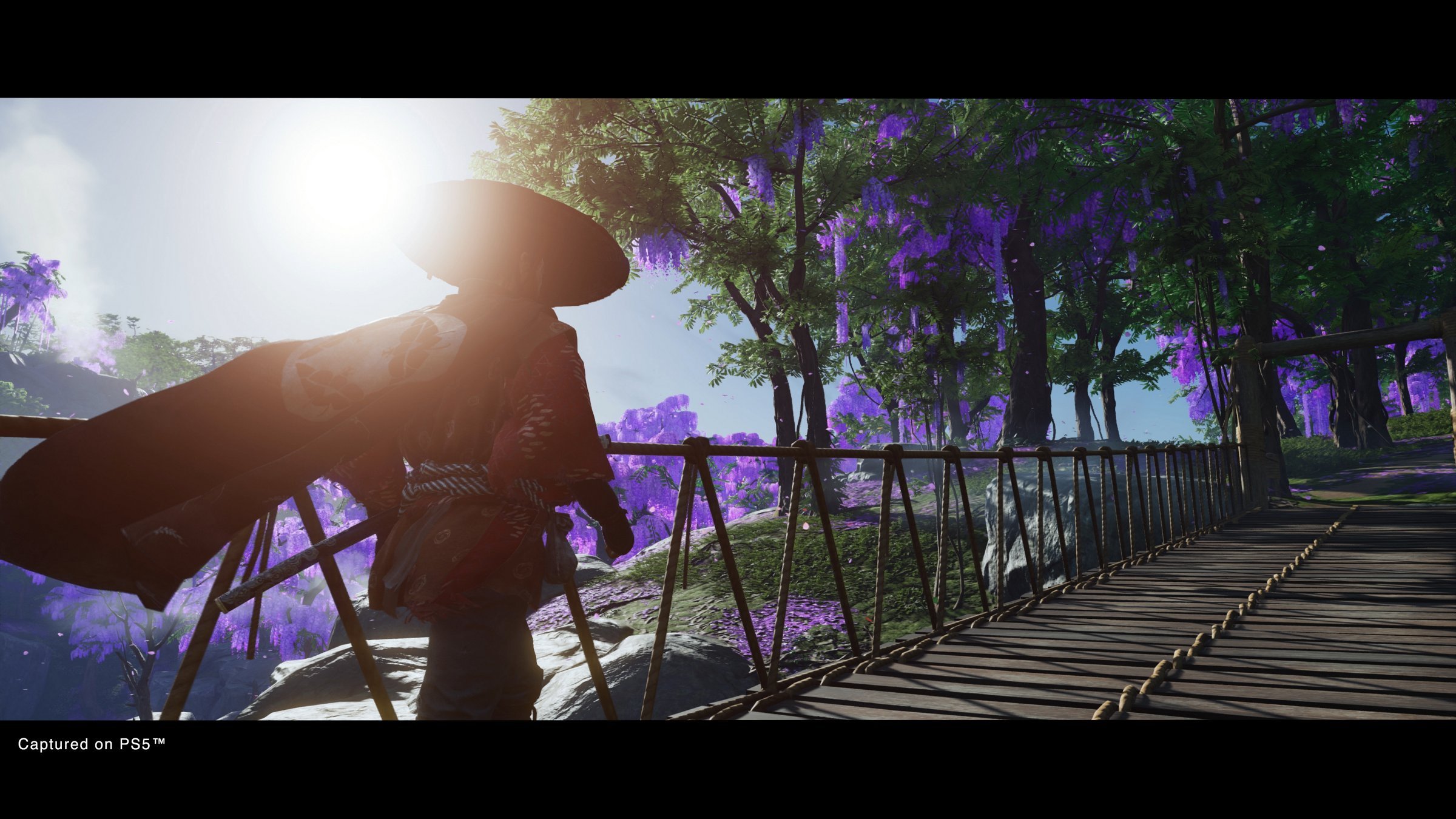 Ghost of Tsushima: Director´s Cut - Imagen 22